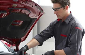 Rear Brake Service